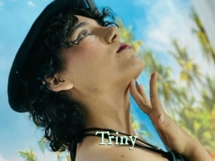 triny Top Blog X