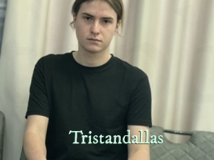 tristandallas Top Blog X