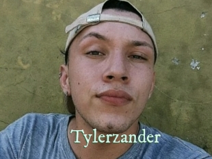 tylerzander Top Blog X