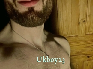 ukboy23 Top Blog X