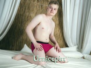 Urnicepitt