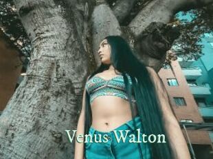 Venus_Walton