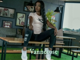 vannerose Top Blog X