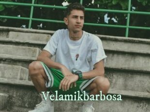 Velamikbarbosa