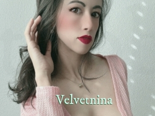 velvetnina Top Blog X
