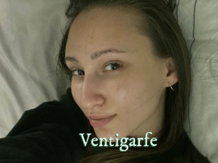ventigarfe Top Blog X