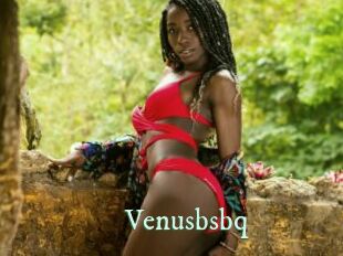 Venusbsbq