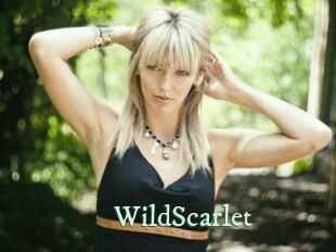 WildScarlet