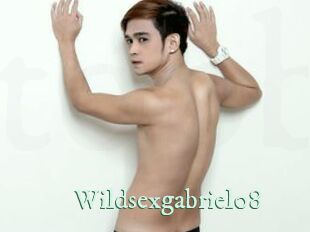 Wildsexgabriel08