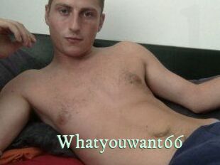 Whatyouwant66