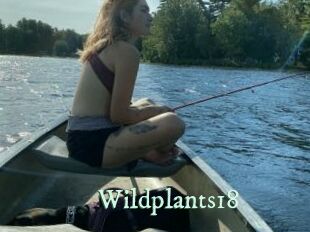 Wildplants18