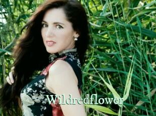Wildredflower