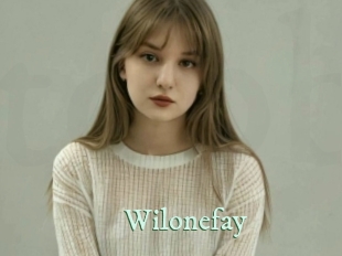 wilonefay Top Blog X