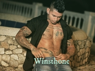 winsthone Top Blog X
