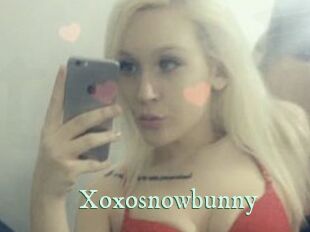 Xoxosnowbunny
