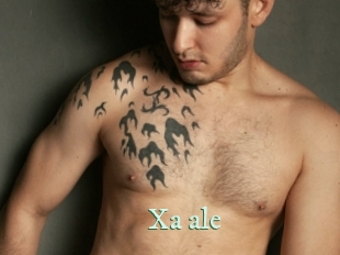 xa_ale Top Blog X