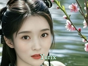 yurix Top Blog X