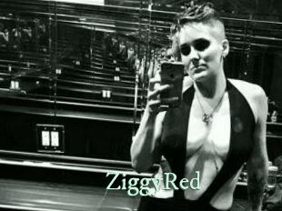 ZiggyRed