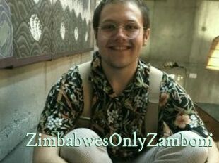 ZimbabwesOnlyZamboni