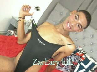 zachary_hill Top Blog X