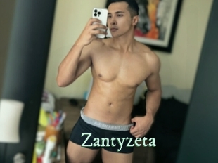 zantyzeta Top Blog X