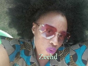 zeehd Top Blog X
