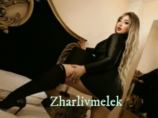 zharlivmelek Top Blog X