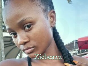 Ziebea22