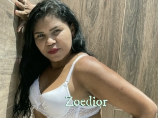 zoedior Top Blog X